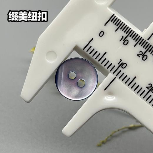 双平二眼鞠灰贝壳(整包购买) 商品图4