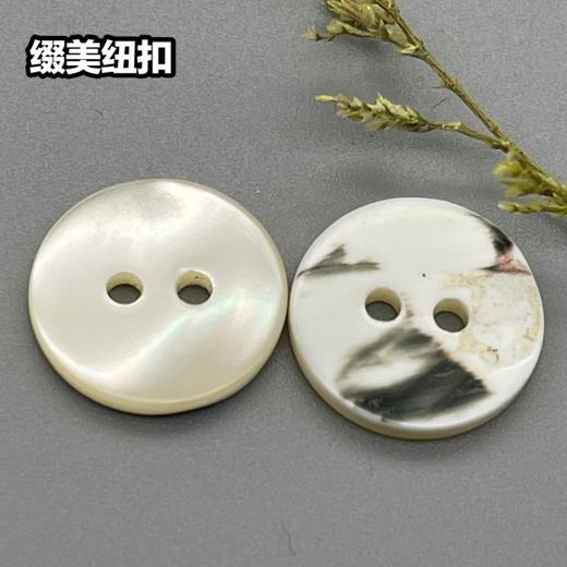 双平二眼塔螺贝壳(整包购买) 商品图1