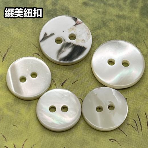 双平二眼塔螺贝壳(整包购买) 商品图3