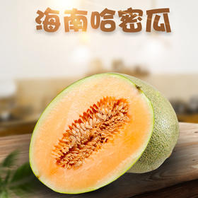 【海南·哈密瓜】新鲜当季 脆甜网纹哈蜜瓜 应季小香瓜 整箱包邮