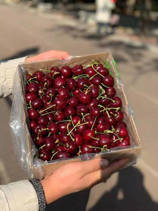 智利原装进口车厘子（云南）-5斤装原箱 商品图3