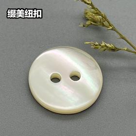 双平二眼塔螺贝壳(整包购买)