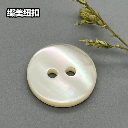 双平二眼塔螺贝壳(整包购买) 商品图0