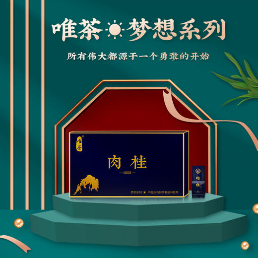 唯茶梦想1000系列 武夷肉桂 武夷岩茶太阳品质 高档玻璃礼盒装 半斤装（30泡装） 商品图6
