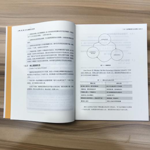 定制化敏捷项目管理  9787568019644  华中科技大学出版社 商品图8