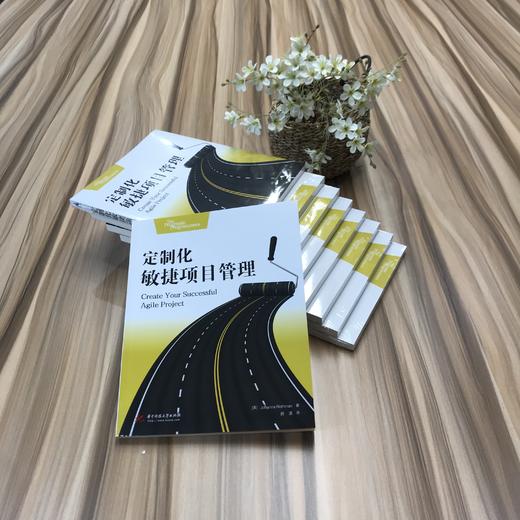 定制化敏捷项目管理  9787568019644  华中科技大学出版社 商品图2