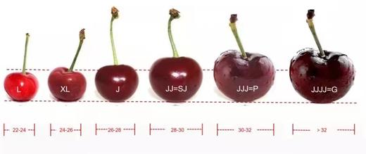 智利原装进口车厘子（云南）-5斤装原箱 商品图1