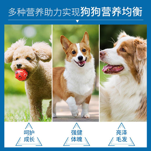 麦富迪狗粮营养森林成犬幼犬粮10kg 商品图3