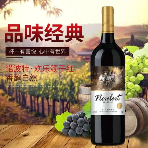 法国原瓶原装进口诺波特干红/欢乐颂干红葡萄酒/40年老藤十字城堡干红葡萄酒 商品图1