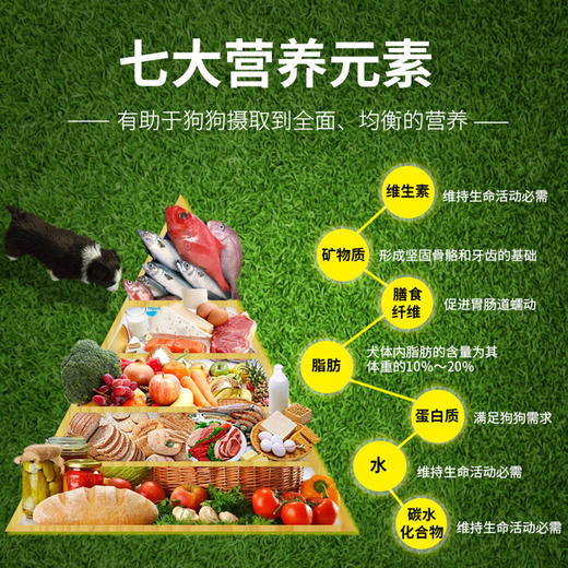 麦富迪狗粮营养森林成犬幼犬粮10kg 商品图2