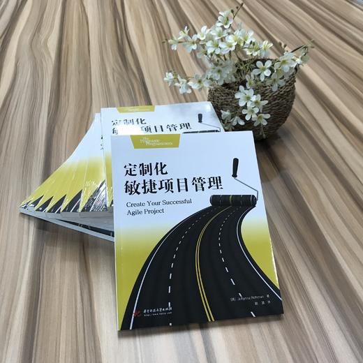 定制化敏捷项目管理  9787568019644  华中科技大学出版社 商品图1