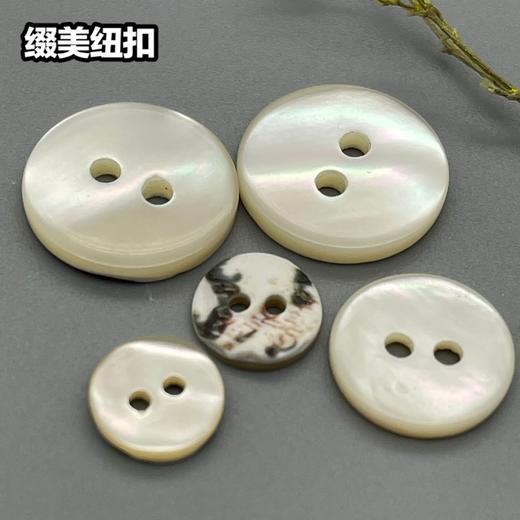 双平二眼塔螺贝壳(整包购买) 商品图4