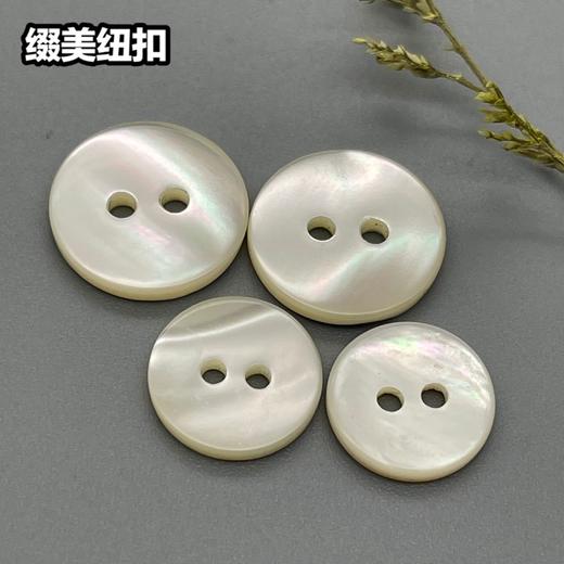 双平二眼塔螺贝壳(整包购买) 商品图2