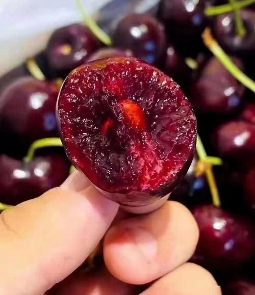 智利原装进口车厘子（云南）-5斤装原箱 商品图5