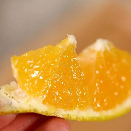 （1.20直播）建阳潭泉桔柚果果礼盒装 3kg（70-90mm） 商品图4