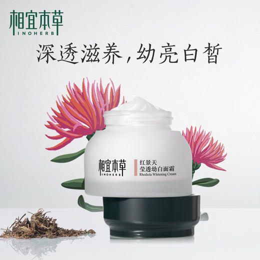 相宜本草红景天莹透幼白面霜50g 商品图2