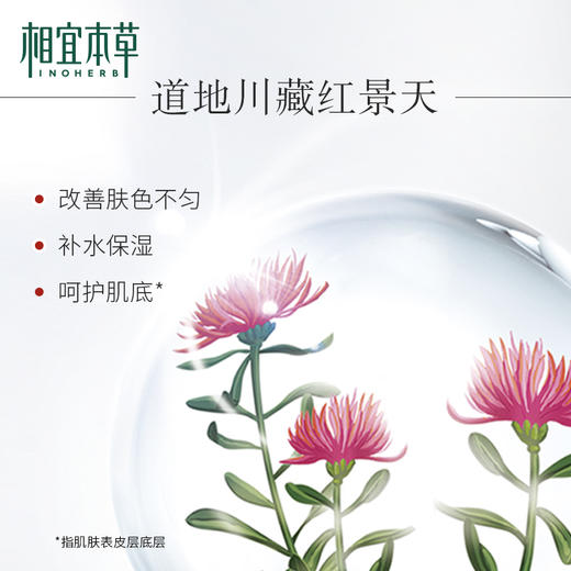 相宜本草红景天莹透幼白面霜50g 商品图4