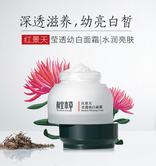 相宜本草红景天莹透幼白面霜50g 商品图5