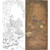 竖幅工笔花鸟白描底稿-宋 佚名-孔雀图 轴 A628 商品缩略图0