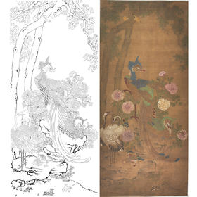 竖幅工笔花鸟白描底稿-宋 佚名-孔雀图 轴 A628