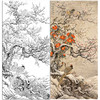 竖幅工笔花鸟白描底稿-梅花山茶花-梅茶山禽图 A626 商品缩略图0