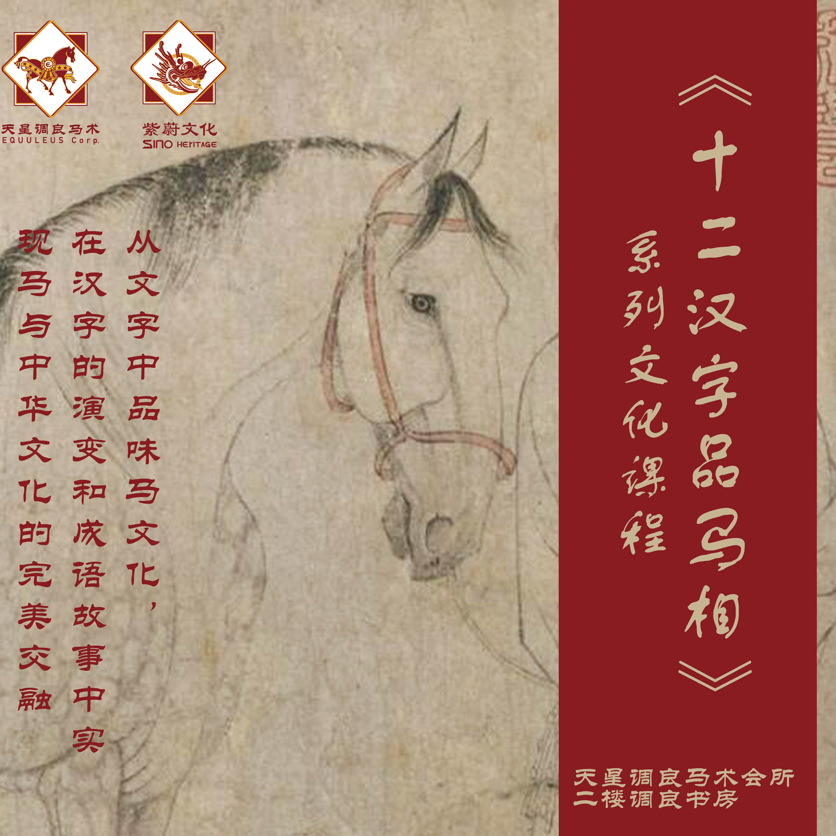 《十二汉字品马相》系列课程 线下课