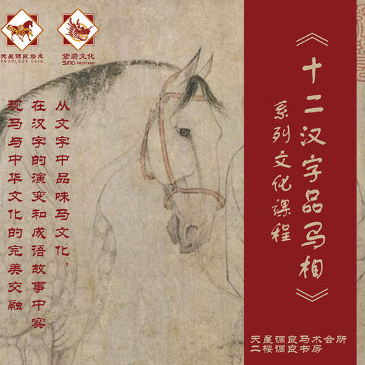 《十二汉字品马相》系列课程 线下课 商品图0