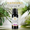澳洲茶树精油| | 公平贸易* tea tree essential oil  | Fair trade 商品缩略图0