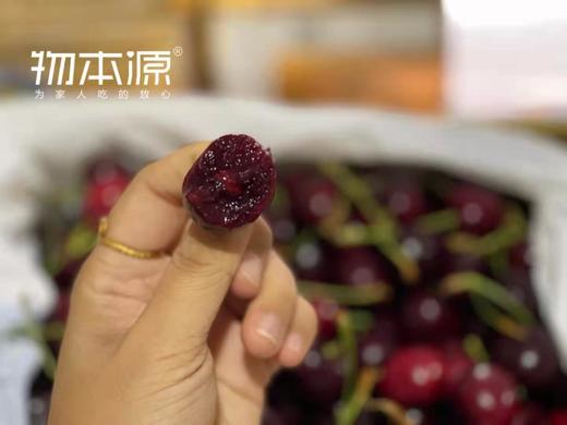 来自世界尽头的鲜美-塔斯马尼亚车厘子 4斤原盒装 商品图2