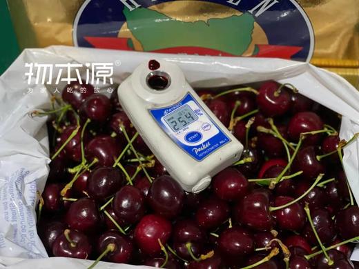 来自世界尽头的鲜美-塔斯马尼亚车厘子 4斤原盒装 商品图4