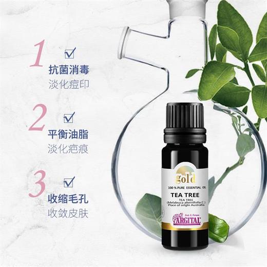 澳洲茶树精油| | 公平贸易* tea tree essential oil  | Fair trade 商品图2