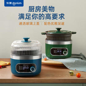 【东菱】东菱空气炸锅家用多功能大容量新款智能无油电炸锅全自动炸薯条机