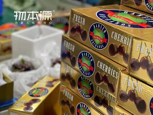 来自世界尽头的鲜美-塔斯马尼亚车厘子 4斤原盒装 商品图3