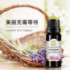 真正薰衣草精油 |  公平贸易* lavender essential oil | Fair trade 商品缩略图0