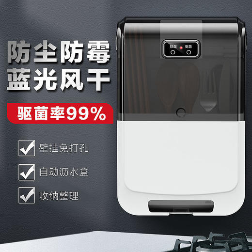 筷笼子家用多功能筷子筒沥水防霉消壁挂式餐具收纳盒厨房置物架 商品图3