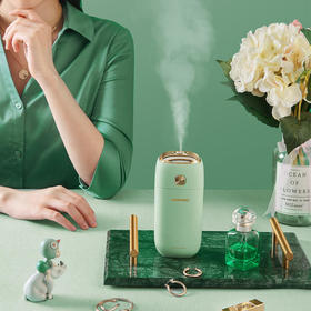 【大宇】大宇DAEWOO便携迷你加湿器3色可选水雾细腻