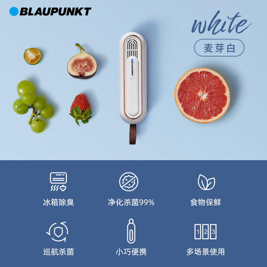 【蓝宝】蓝宝冰箱除味器臭氧机空气净化除臭器便捷消毒机除臭棒【蓝宝】 商品图1