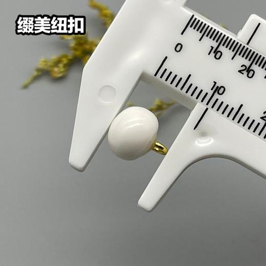 S4181(整包购买) 商品图4