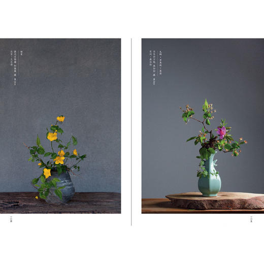 花间世：中式古典插花 商品图4