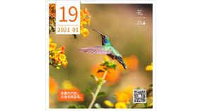 【花丘•心语】