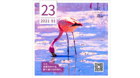 【花丘•心语】