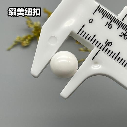 S4181(整包购买) 商品图5