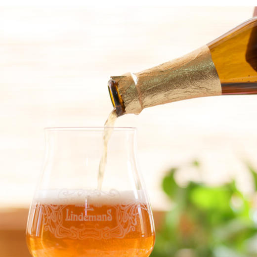 比利时果味林德曼桃子果味啤酒 250ML 3.5%VOL 商品图1