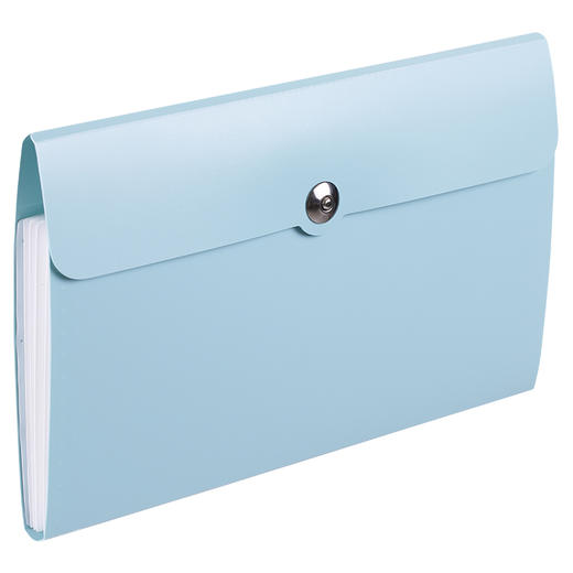 齐心风琴式增票分类袋5格A3175收纳文件袋多层文件夹 商品图3