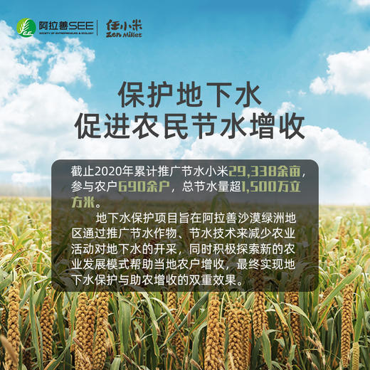 任小米 快食小米粥 商品图3