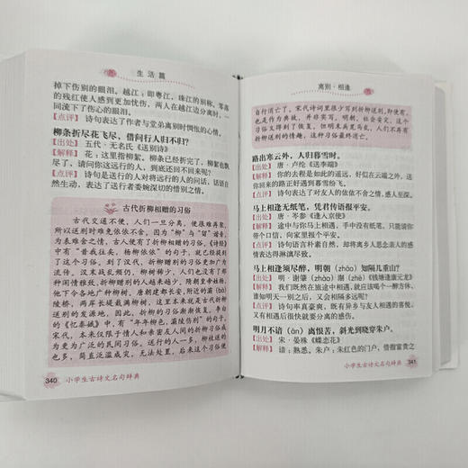 小学生古诗文名句辞典(小学语文工具书系列) 商品图5