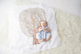 在巴黎协和广场的克利翁酒店邂逅Atelier Choux，好浪漫！