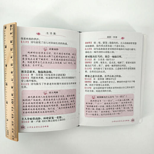 小学生古诗文名句辞典(小学语文工具书系列) 商品图4