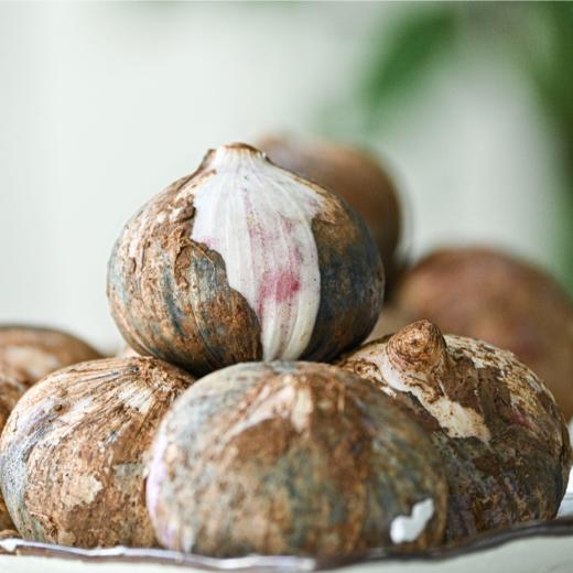 【紫皮独头蒜 （鲜蒜）】| 蒜香浓郁，易剥皮，蒜瓣饱满，辛辣多汁天然健康 商品图4