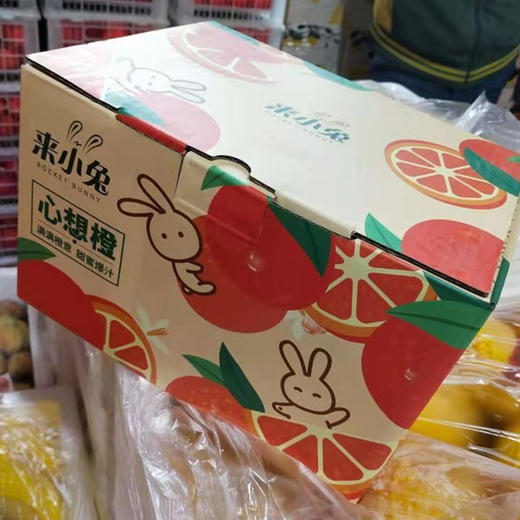 来小兔云南冰糖橙（带箱6斤） 商品图2